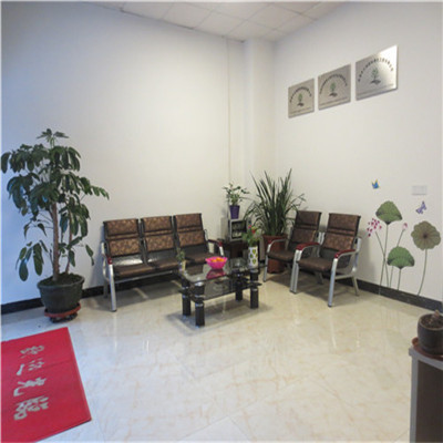 河源电梯口花卉租摆养护 一站式绿植后期服务与批发设计解决方案