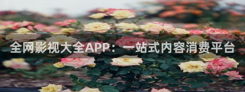 影视工厂在线观看极速蓝光：全网影视大全APP：一站式内容消费平台
