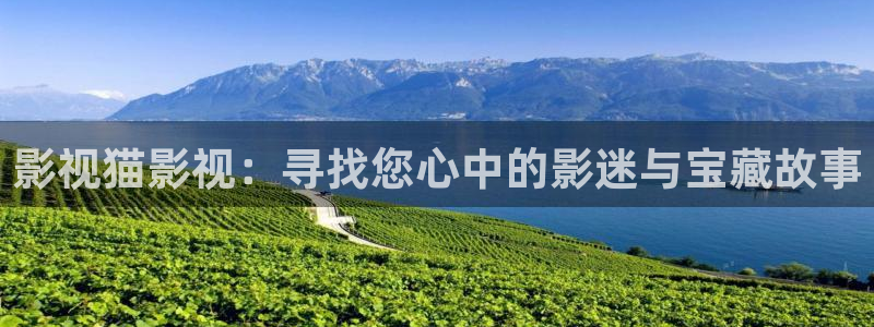 极速游戏下载：影视猫影视：寻找您心中的影迷与宝藏故事
