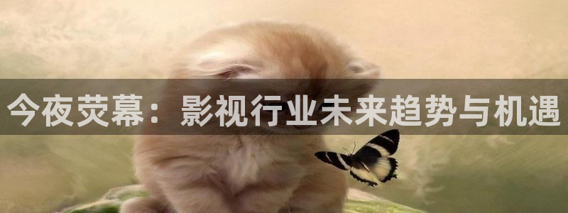 飞极速影院：今夜荧幕：影视行业未来趋势与机遇