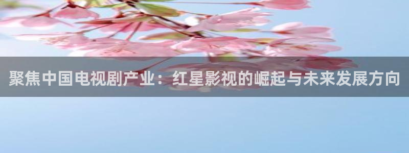 极速在线电影：聚焦中国电视剧产业：红星影视的崛起与未来发展方向