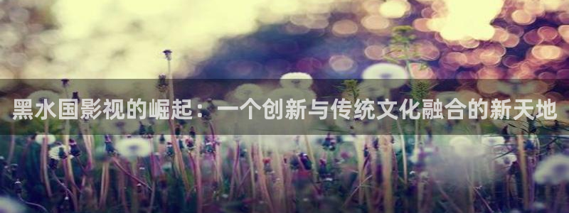 极速影院在线免费观看：黑水国影视的崛起：一个创新与传统文化融合的新天地
